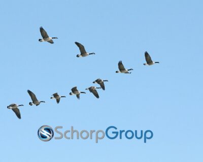 Does Team Work Add Value?